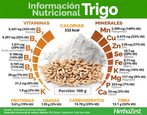 infografía sobre los beneficios nutricionales del trigo sarraceno