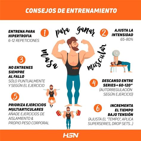 Esquema de los tres pilares para ganar masa muscular: entrenamiento, nutrición y descanso.