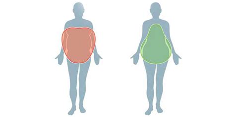 Ilustración mostrando las diferencias en la distribución de grasa corporal entre hombres (figura de manzana) y mujeres (figura de pera y reloj de arena).