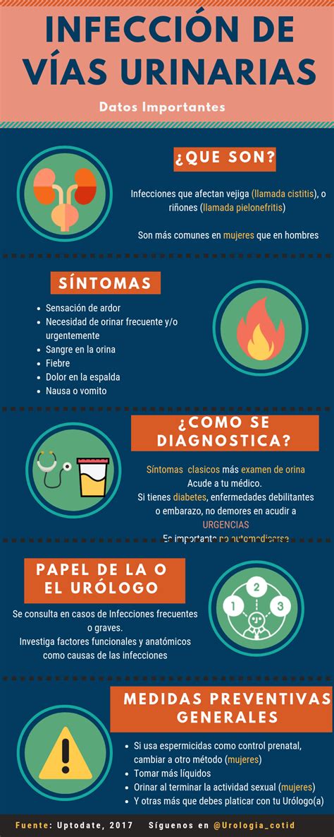 Infografía mostrando la prevención de infecciones urinarias con consejos prácticos.