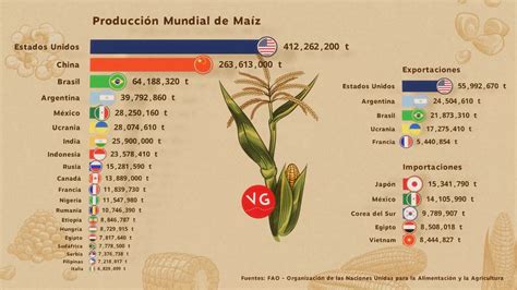 Gráfico comparativo de la producción mundial de maíz.