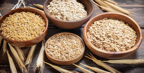 infografía comparativa de los diferentes tipos de avena: copos, cortada en acero, instantánea y salvado, destacando sus características y tiempos de cocción.