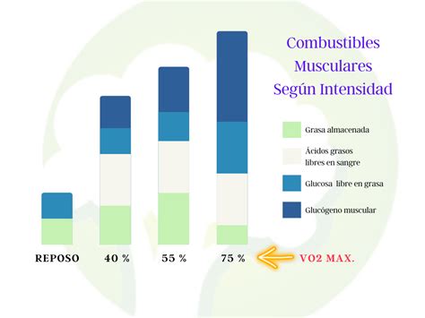 Gráfico ilustrando los tres tipos de combustibles corporales: proteínas, carbohidratos y grasas.