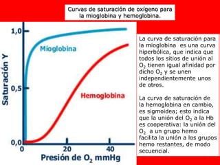 Ilustración mostrando la diferencia entre la saturación de oxígeno normal y la saturación de carboxihemoglobina en la hemoglobina.