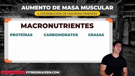 Infografía con la distribución de macronutrientes para ganar masa muscular.