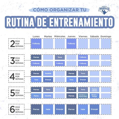Calendario semanal mostrando la distribución de los días de entrenamiento y descanso.