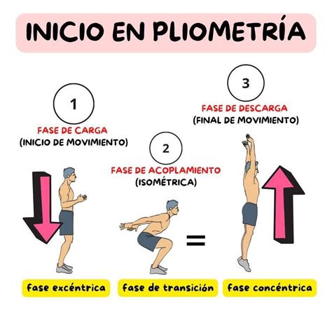 Diagrama que ilustra las fases de una repetición de ejercicio (concéntrica, excéntrica, transición).