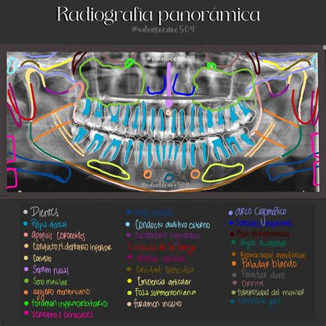Una imagen panorámica de un lujoso centro de recuperación en Costa Rica, mostrando un entorno sereno y confortable.