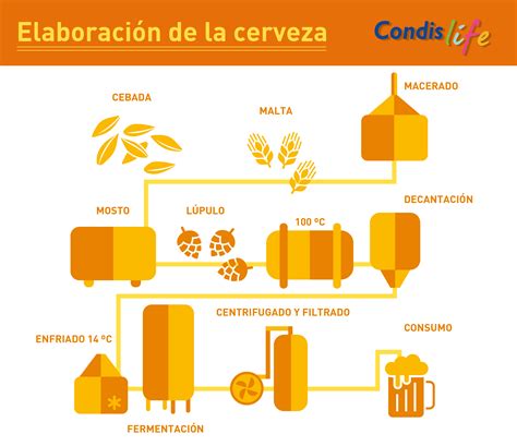 Infografía detallando el proceso de obtención de la levadura de cerveza a partir de cereales y sus presentaciones comerciales.