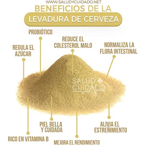 Infografía resumiendo los 11 principales beneficios para la salud de la levadura de cerveza.