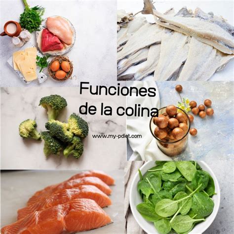 Infografía detallando las funciones esenciales de la colina en el cuerpo humano y sus metabolitos.