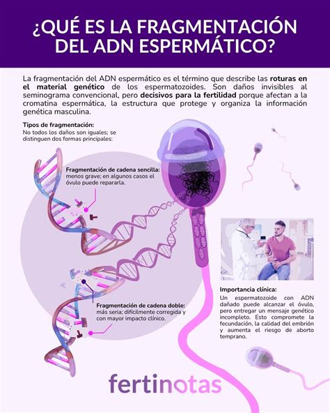Gráfica comparativa del índice de fragmentación del ácido desoxirribonucleico (ADN) espermático antes y después del tratamiento con antioxidantes.