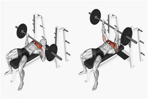 Imagen de un atleta realizando press de banca con barra