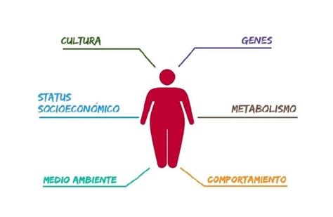 Diagrama que ilustra los diversos factores que contribuyen al desarrollo de la obesidad.
