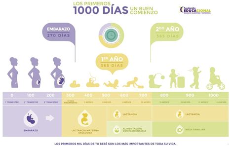 Infografía sobre los 1000 primeros días de vida y su importancia para la salud futura del niño.
