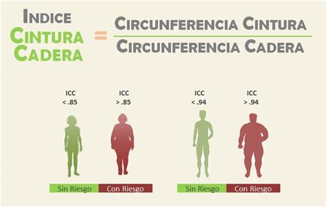 infografía comparando el índice cintura-cadera en hombres y mujeres
