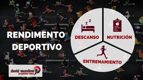 infografía sobre los tres pilares del crecimiento muscular: entrenamiento, nutrición y descanso
