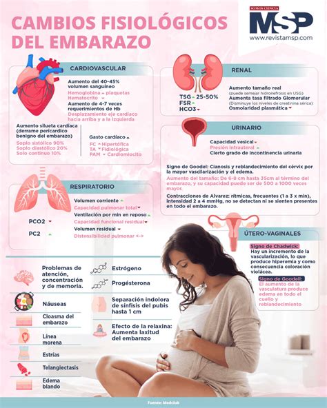 infografía explicando los cambios metabólicos y hormonales a partir de los 40