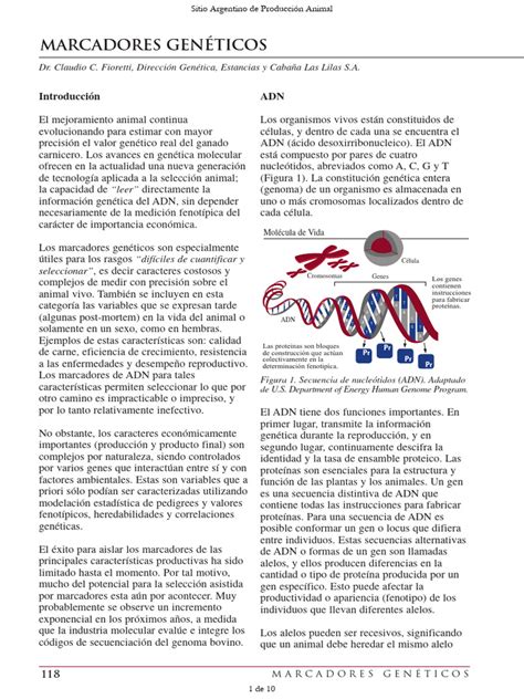 Esquema comparativo de resultados de pérdida de peso según marcadores genéticos y ejercicio