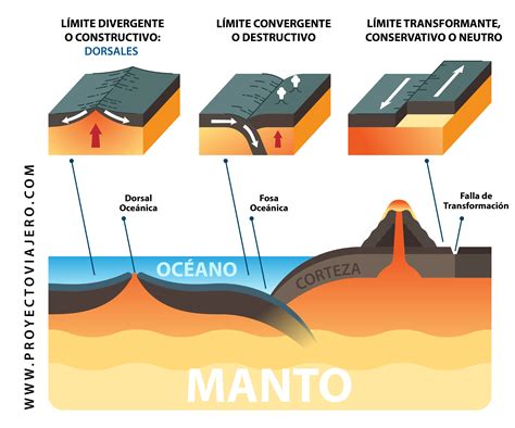 Diagrama mostrando la dirección correcta de los movimientos de ventosas en el rostro: ascendentes y hacia afuera.