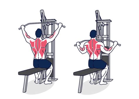 Diagrama: Movimientos de tirón vertical y horizontal en ejercicios de espalda.