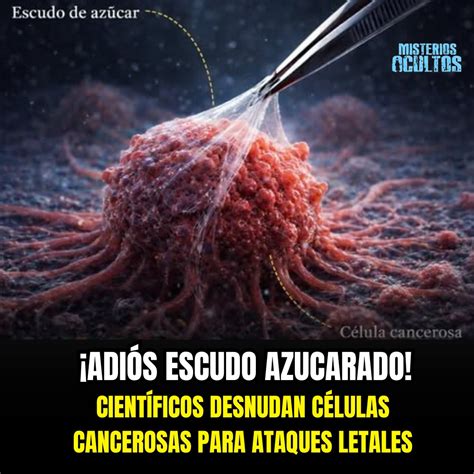 Infografía comparando el metabolismo de células sanas y células cancerosas bajo una dieta cetogénica, destacando la dependencia de la glucosa en el cáncer.