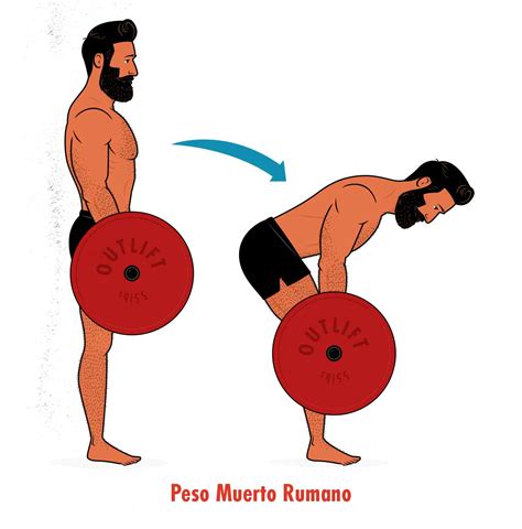 Diagrama mostrando la postura correcta para el peso muerto rumano.