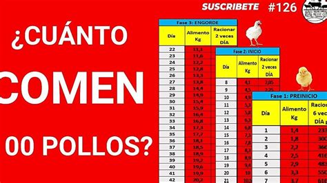 Tabla nutricional de un alimento balanceado para pollos de engorde.