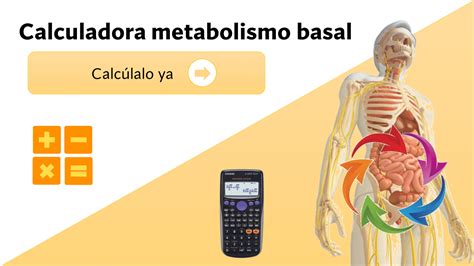 tabla comparativa de fórmulas para calcular el metabolismo basal