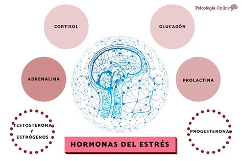 Diagrama que ilustra la interacción entre estrés, ansiedad, hormonas y el deseo de comer alimentos hiperpalatables.