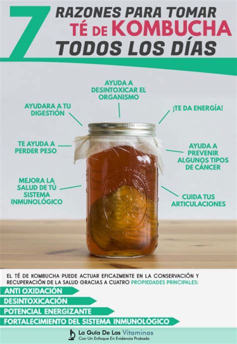 Infografía detallando los componentes de la kombucha y sus beneficios para la salud digestiva y metabólica.