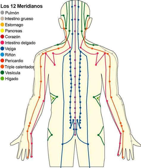 ilustración de los meridianos de energía del cuerpo humano