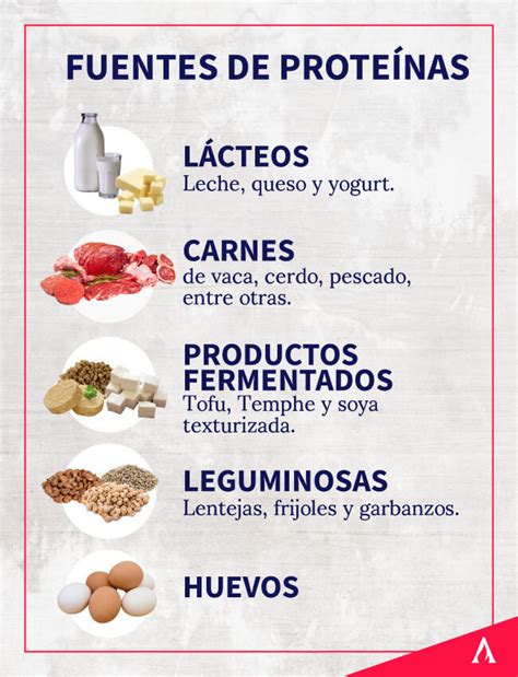 Infografía detallando las fuentes de proteína y sus beneficios para la masa muscular.