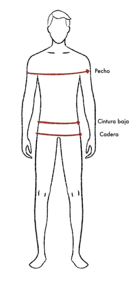 Infografía mostrando cómo tomar las medidas de pecho, cintura y cadera en hombres.