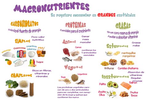 Tabla comparativa de la energía necesaria para digerir diferentes macronutrientes: proteínas, carbohidratos y grasas.