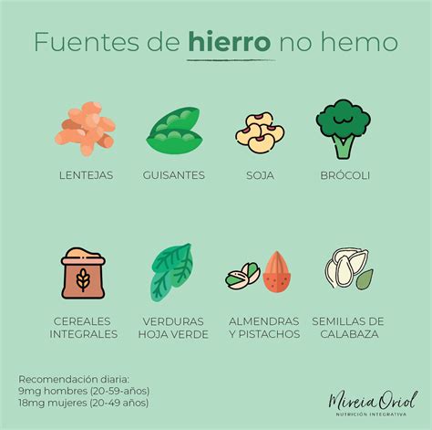 Infografía comparando la absorción de hierro hemo y no hemo, y mostrando alimentos ricos en cada tipo.