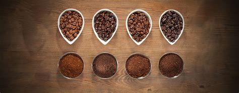 variedad de granos de café de especialidad con diferentes perfiles de tostado