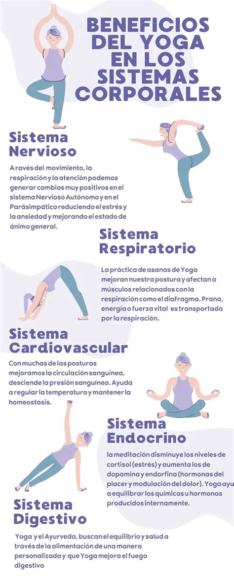 infografía que muestra la conexión entre la práctica de yoga y el fortalecimiento muscular, destacando diferentes grupos musculares trabajados.