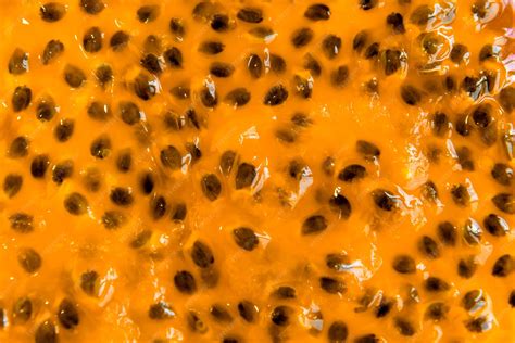 Ilustración de maracuyá con su pulpa y semillas