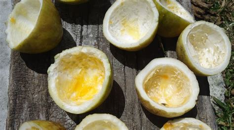 Diagrama que muestra cómo las fibras de la cáscara de maracuyá aumentan la saciedad y reducen la absorción de grasas