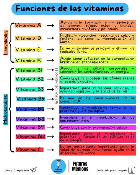 Infografía comparativa de las funciones principales de las vitaminas B1, B6 y B12.