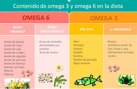 diagrama que muestra la proporción de omega-3 y omega-6 en diferentes tipos de grasas