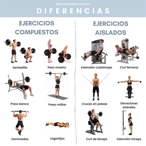 Infografía comparativa entre ejercicios compuestos y aislados, destacando los grupos musculares trabajados.