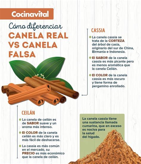 diagrama mostrando cómo la canela afecta el metabolismo y la digestión