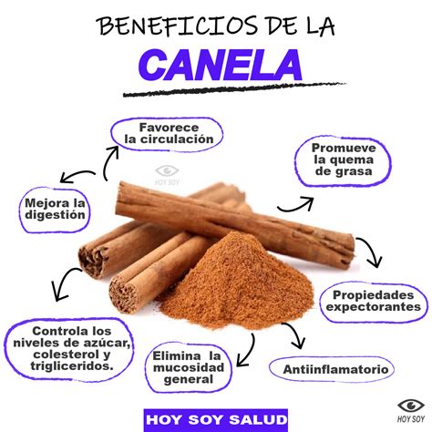 ilustración de la corteza de canela y sus beneficios