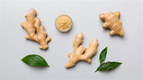 Raíz de jengibre fresca y jengibre en polvo