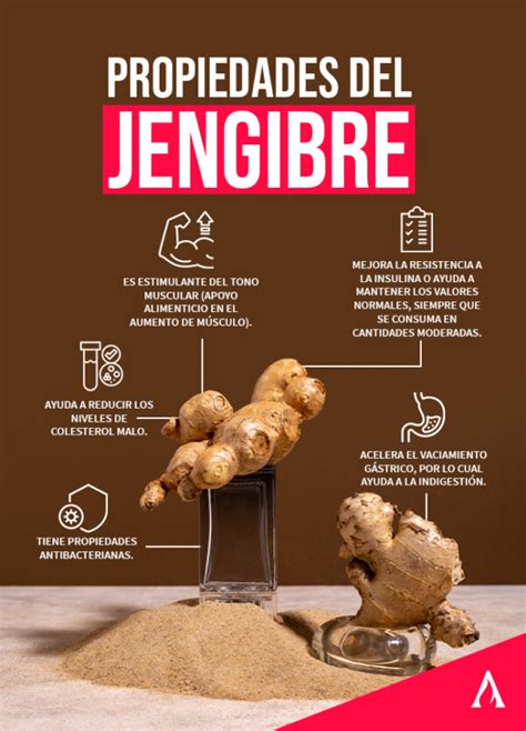 Infografía mostrando los mecanismos del jengibre en la pérdida de peso (metabolismo, quema de calorías, regulación de azúcar)