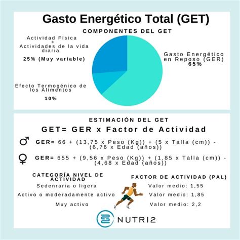 diagrama de flujo mostrando el cálculo del Gasto Energético Total (GET) a partir del Gasto Energético Basal (GEB) y el Nivel de Actividad Física (PAL)