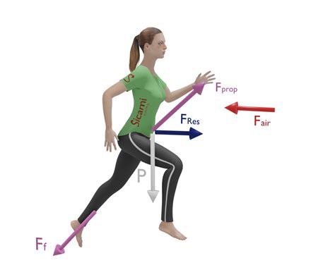 Diagrama mostrando la activación muscular al caminar en llano versus caminar en pendiente.