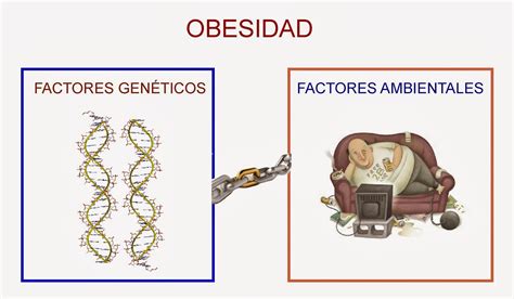 Diagrama de flujo mostrando la interconexión de factores genéticos, ambientales y de estilo de vida en la obesidad